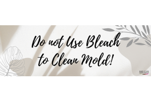 Do NOT use Bleach to Clean up Mold!!