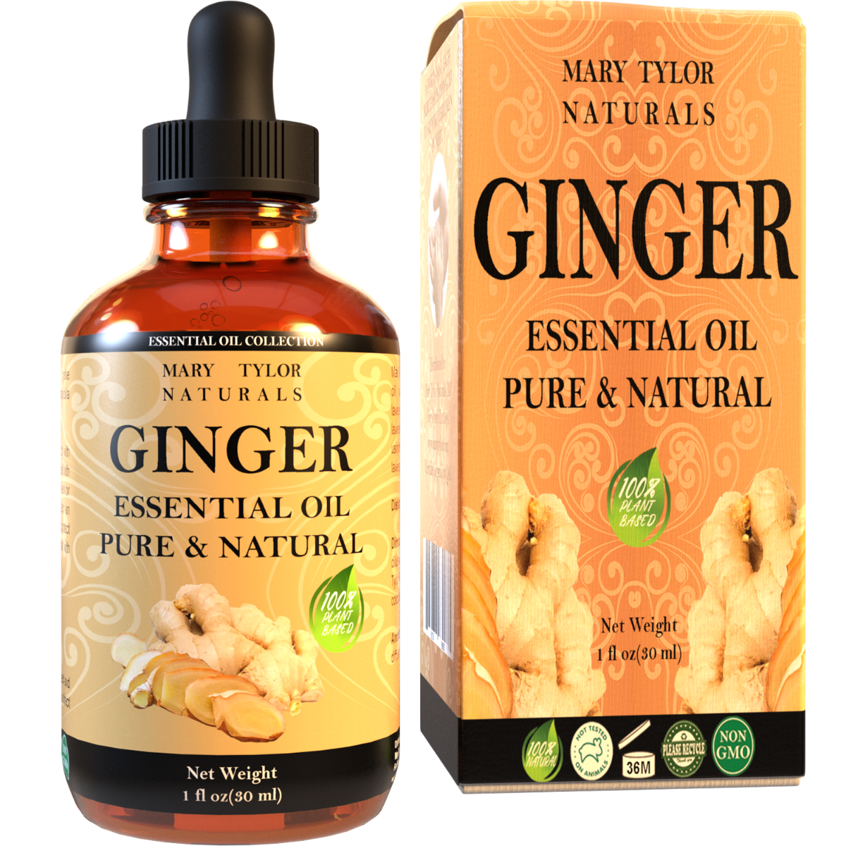 Ginger Essential Oil – PUREOYL HEALTHCARE
