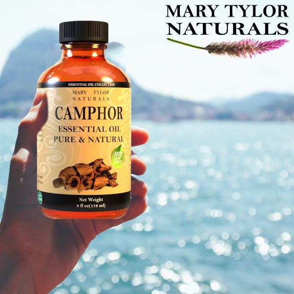 Camphor shop essential oil