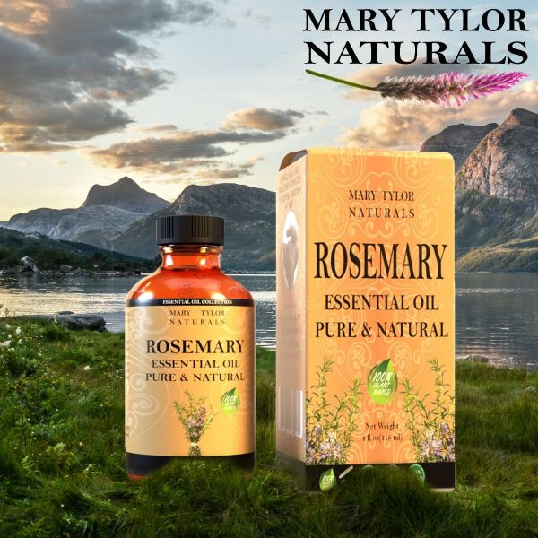 Rosemary Essential Oil, 4 oz, 100% Pure and Natural, Therapeutic Grade, Perfect for Aromatherapy, DIY Skin Care, Hair Care and So Much more, Manufactured and Distributed by Mary Tylor Naturals rosemary-4-oz 
