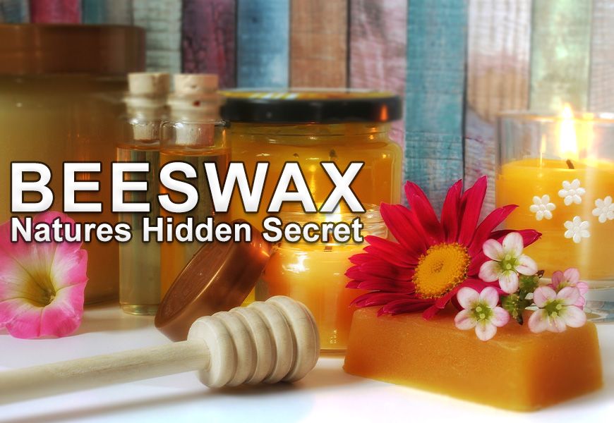 Beeswax Facts - Nature's Hidden Secret 