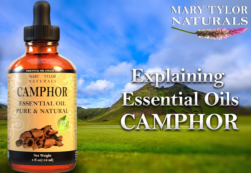 Explaining Essential Oils Camphor