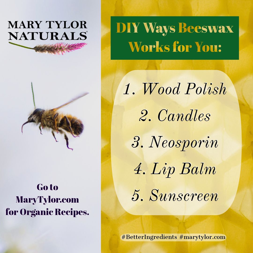 5 Great Recipes with Chemical Free Beeswax - DIY Candles, Neosporin, Lip Balm, & Sunscreen
