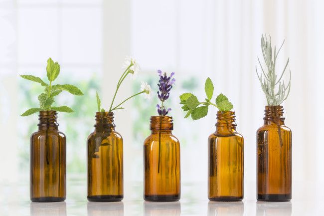 Essential Oil blends perfect for the Fall Season