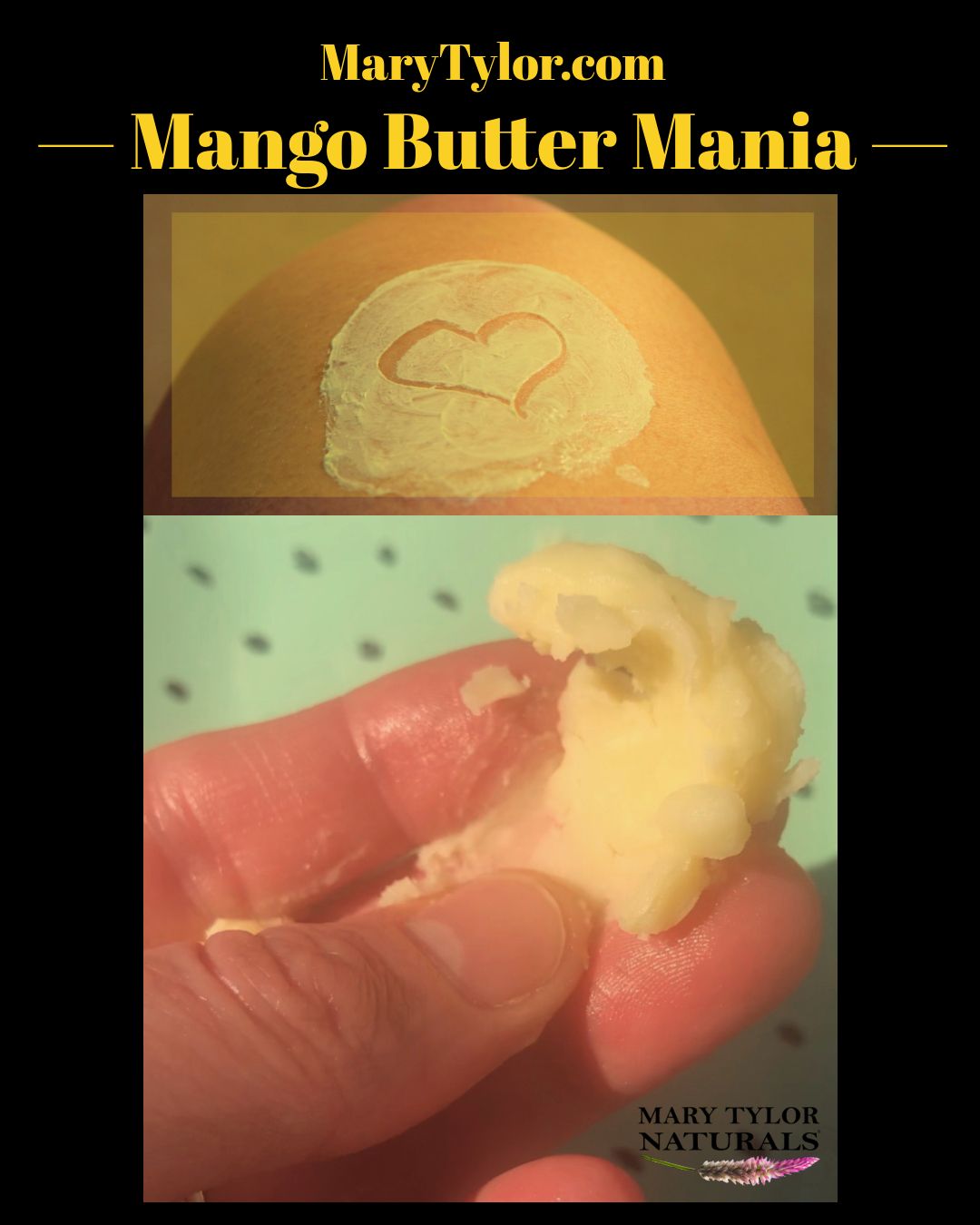 Mango Mania!  Mango Butter is all over... your skin