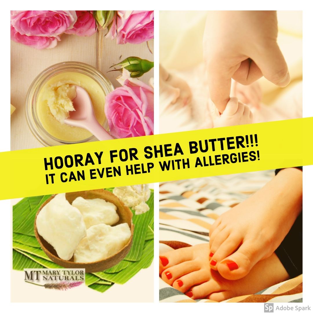 Hooray For Certified Organic Shea Butter! A Big Thank You to this natural moisturizer SHEA!!  It can even help with Allergies!   - 100% Certified Organic Shea Butter is great for healing skin and helping with allergy inflammation.