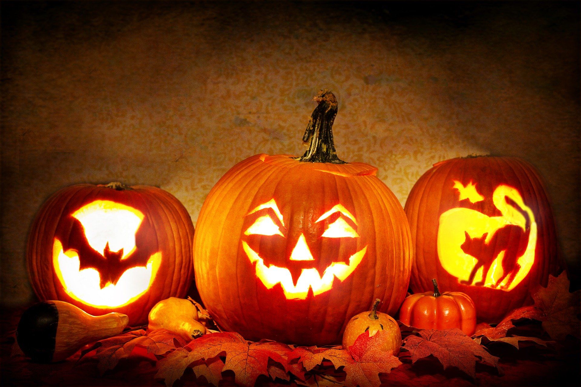 How to Have a Happy Halloween during Quarantine: Safe Ideas to Celebrate Halloween