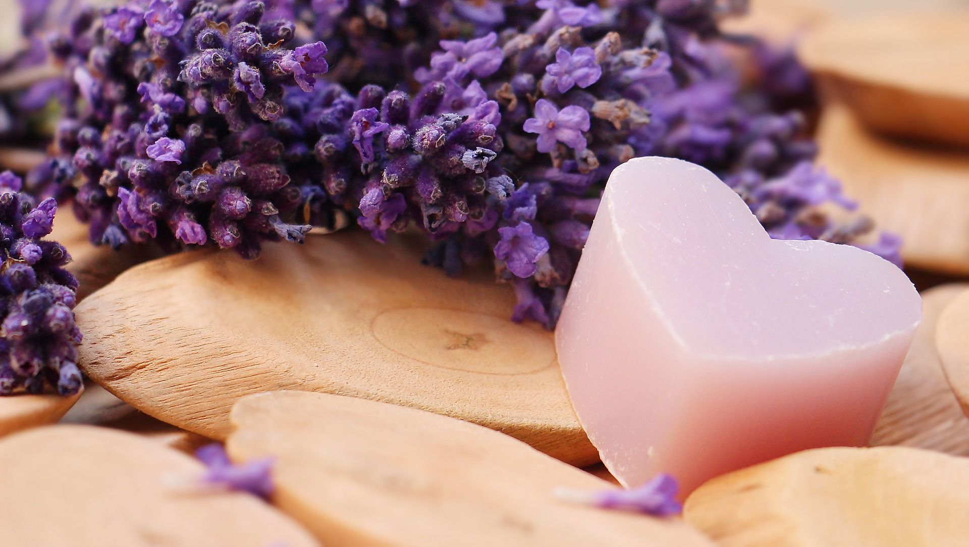 Kid Friendly Uses for Lavender Essential Oil