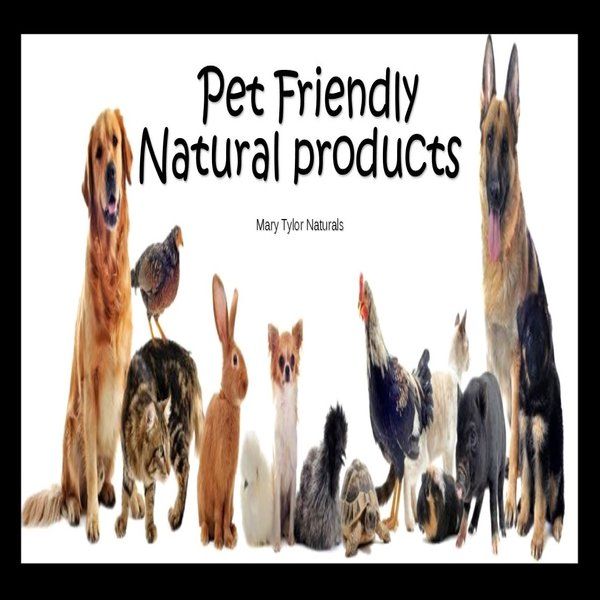 Pet Friendly Natural Products 
