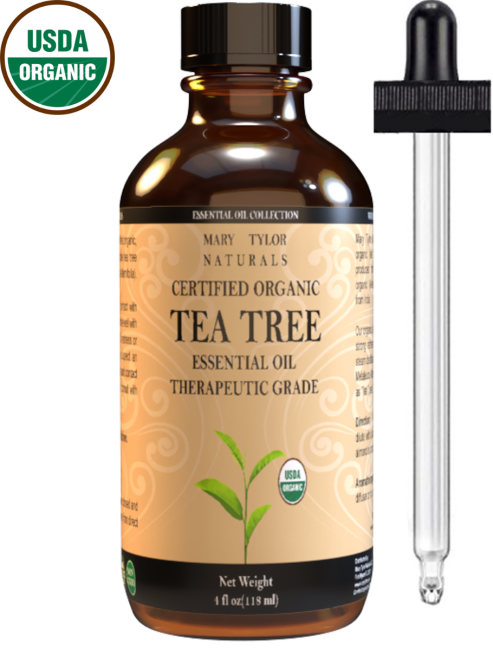 Explaining Essential Oils- Tea Tree 
