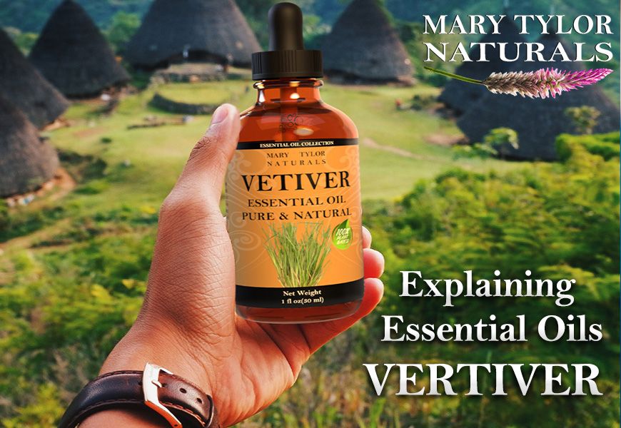 Explaining Essential Oils- Vetiver