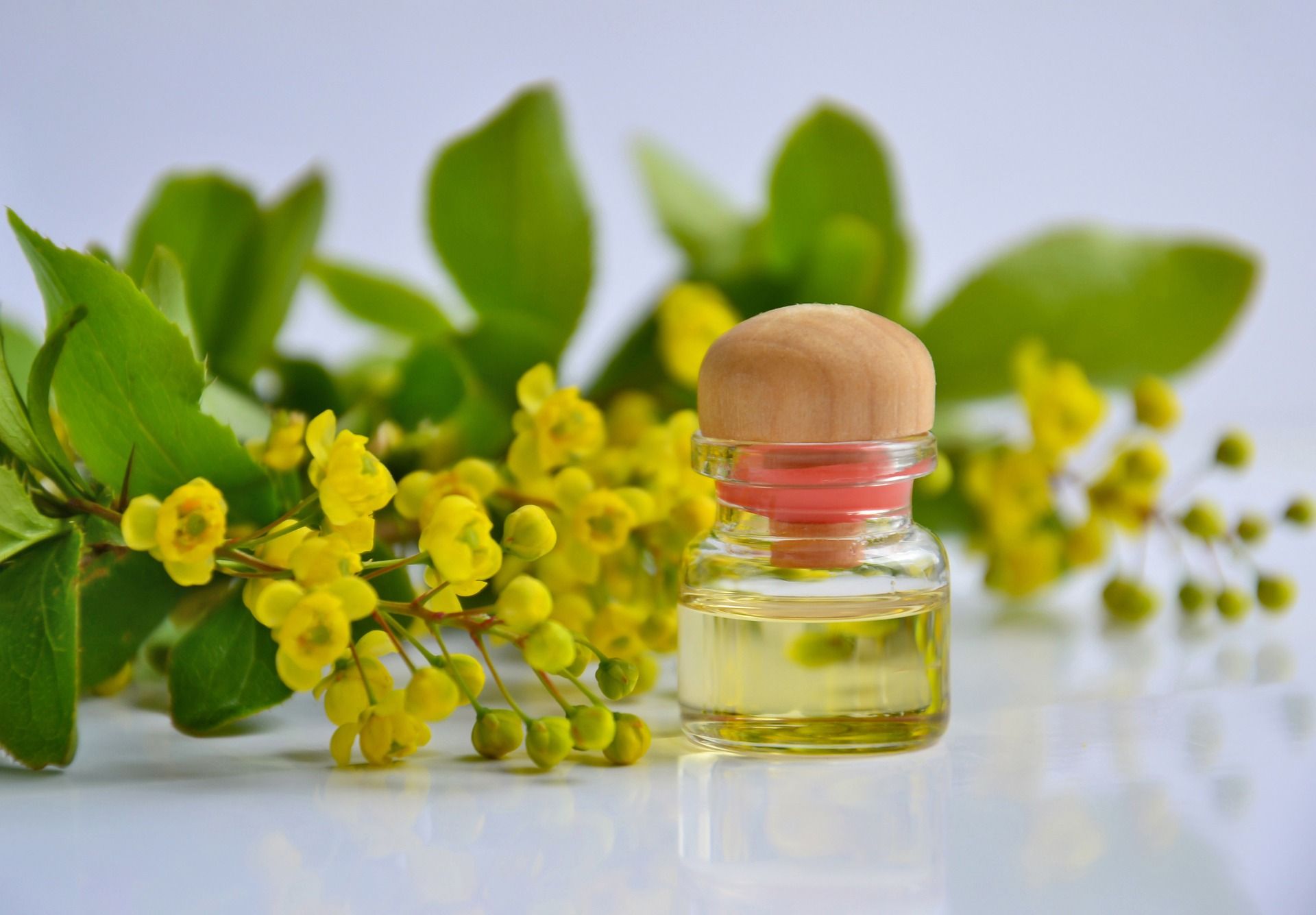 What are Carrier Oils?