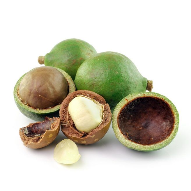 What is Tamanu Oil?