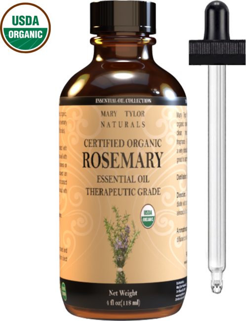 Explaining Essential Oils- Rosemary