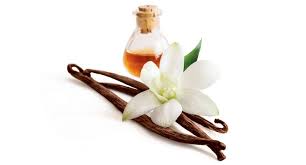 Explaining Essential Oils- Vanilla